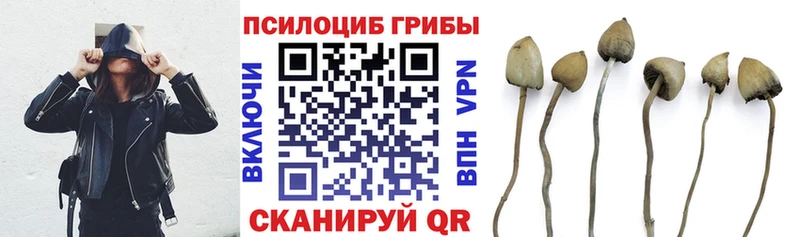 Купить где  Мышкин  Галлюциногенные грибы MAGIC MUSHROOMS 